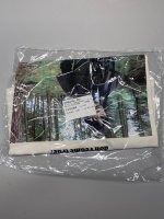 Zara ФУТБОЛКА WEDNESDAY © White | 2614/713/250