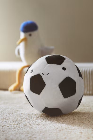 Мячик с мягкой поверхностью- Заказать в России