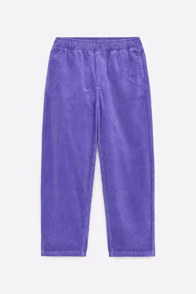 Брюки из бархата