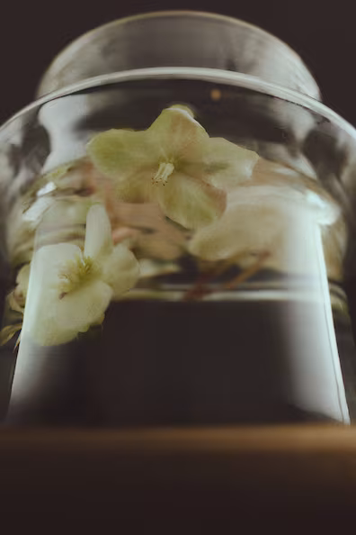 Длинная секционированная ваза из стекла