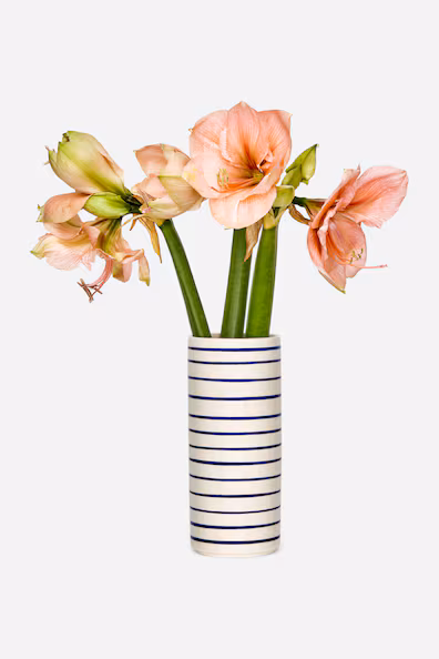 Банка из греса 23 см- Заказать в России