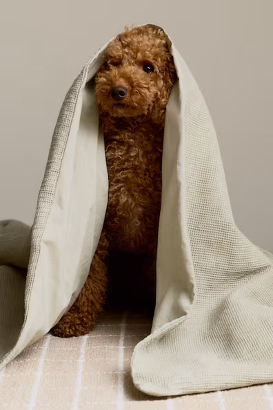 Набор наволочек для детского одеяла в форме сот