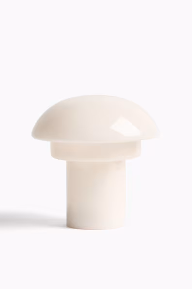 Подзаряжаемая настольная лампа- Заказать в России