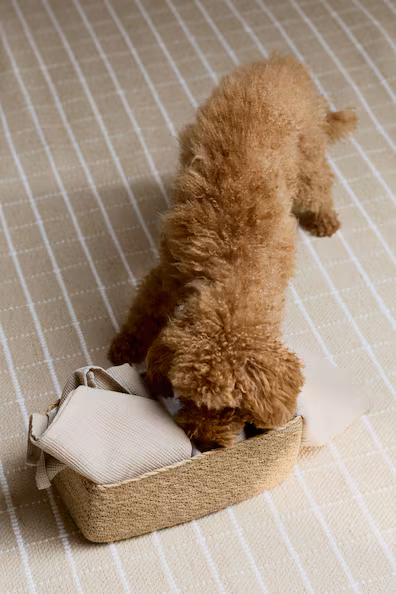 H&M Корзина для хранения из морской травы