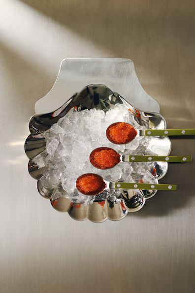 Тарелка для сервировки в форме раковины- Заказать в России