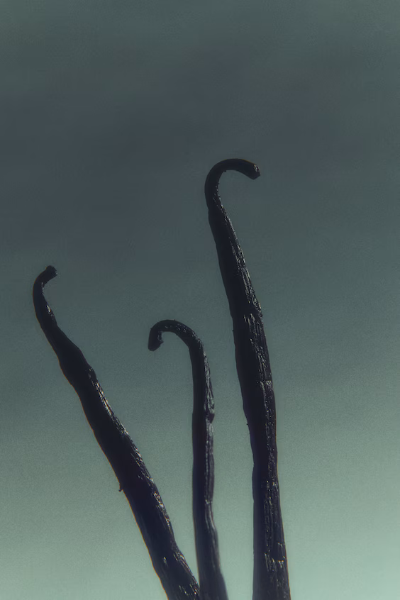 Туалетная вода mystic velvet