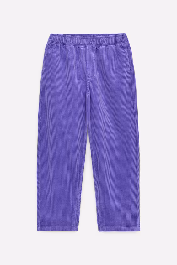 Брюки из бархата