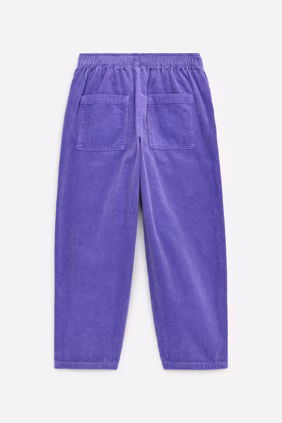 Брюки из бархата