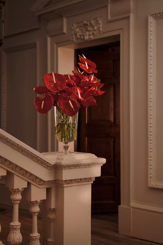 Большая стеклянная кувшин с ножкой