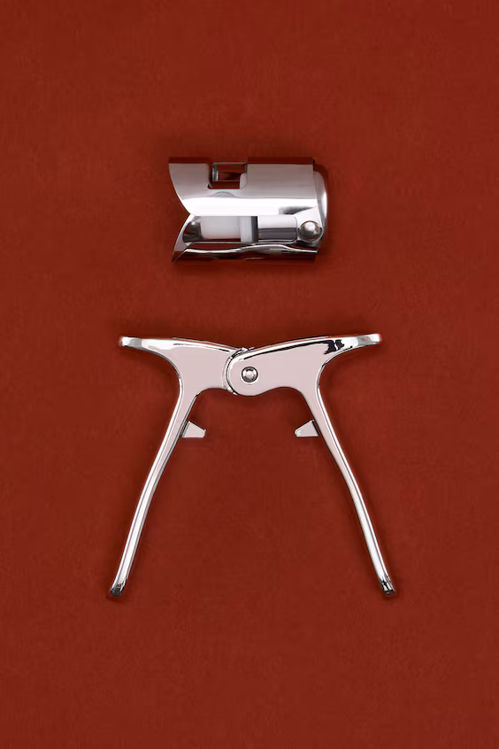 Набор из 2 аксессуаров для шампанского