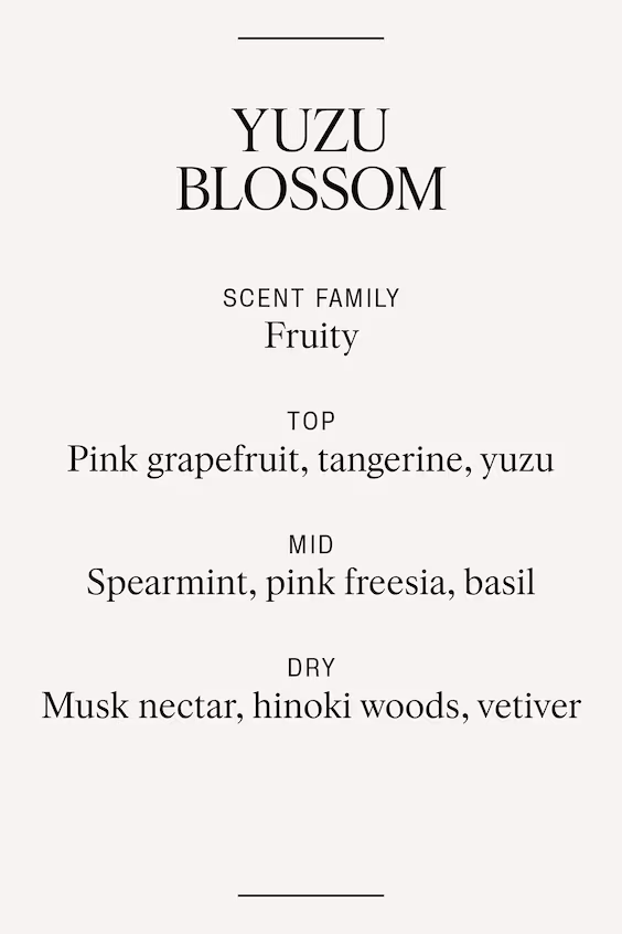 Диффузор аромата с палочками