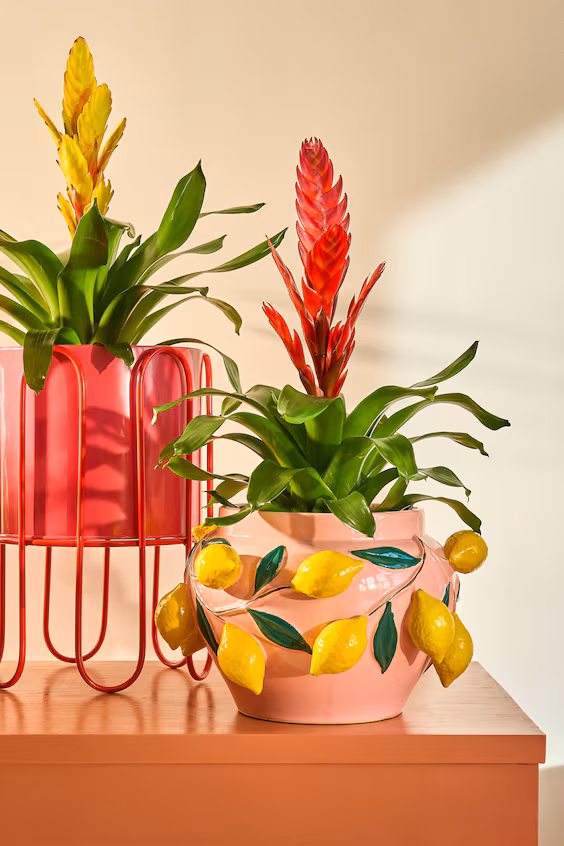 Набор из двух цветочных горшков на стойке