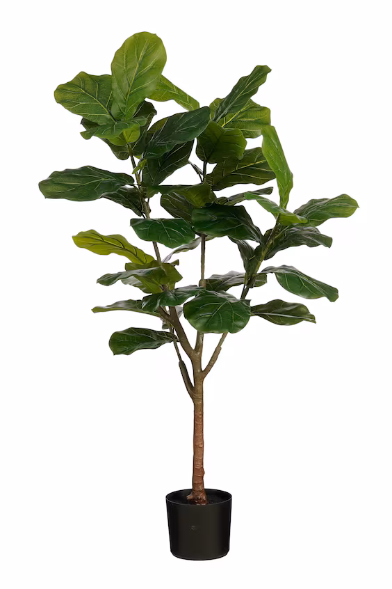 Искусственное растение фиддлер фиг