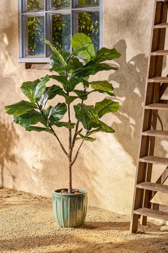 Искусственное растение фиддлер фиг