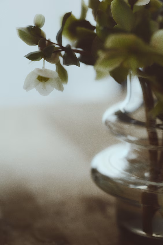 Маленький стеклянный разделенный кувшин