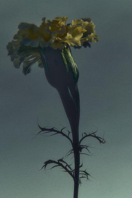 H&m аромат ruby touch edp