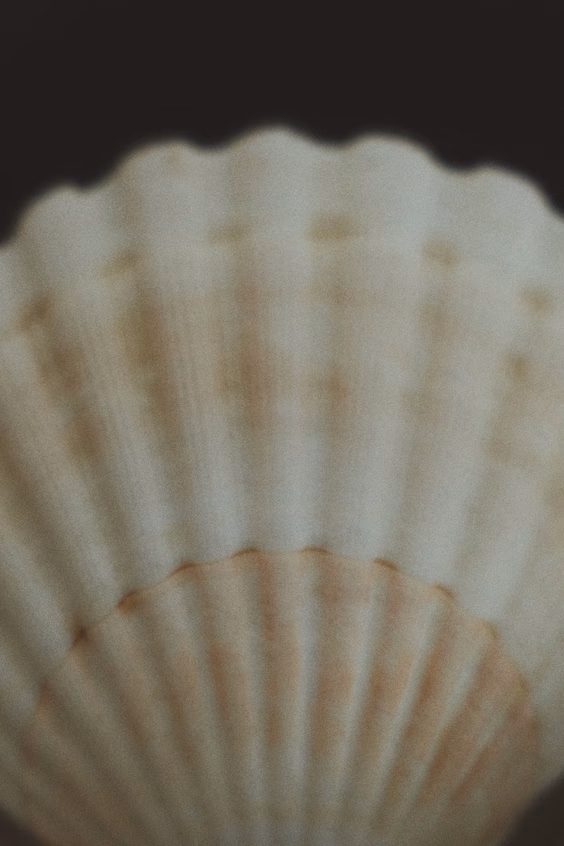 Тарелка с подставкой из нержавеющей стали