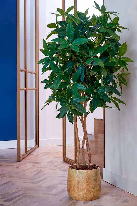 Искусственное растение монстера