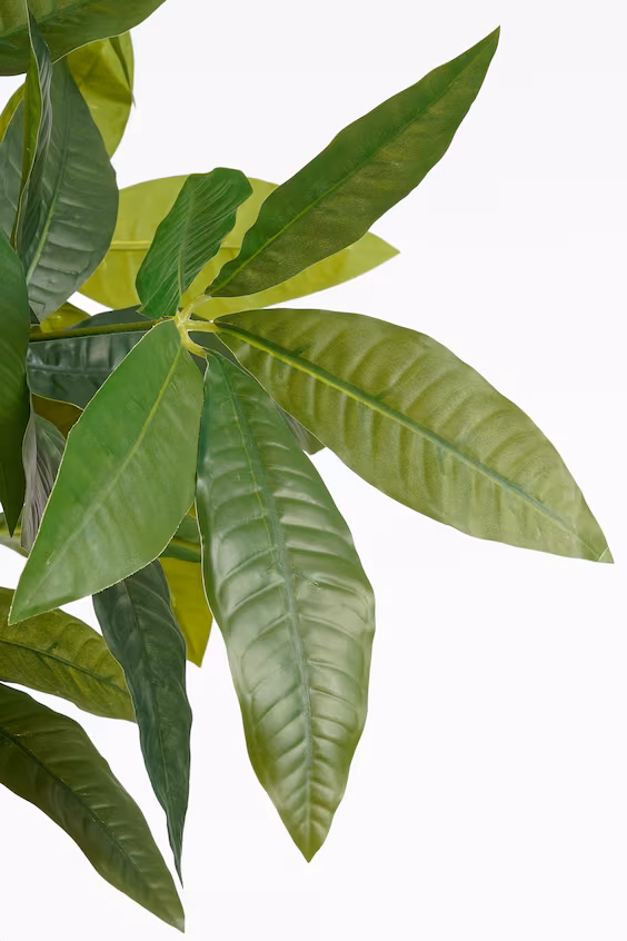 Искусственное растение монстера