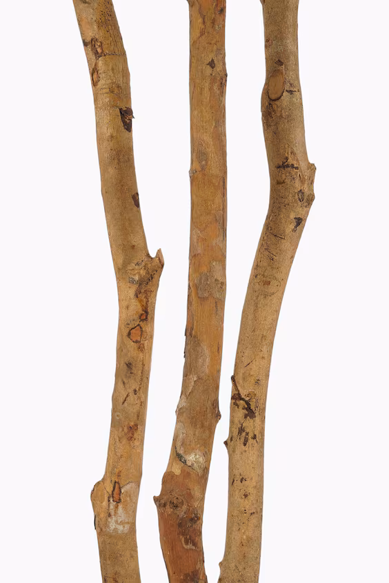 Искусственное растение монстера