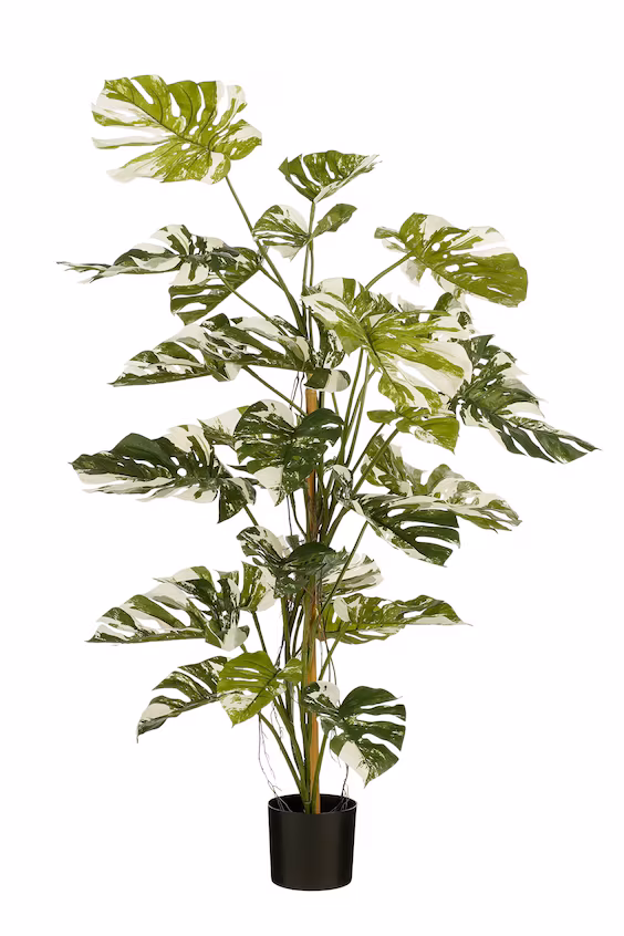 Искусственное растение монстера