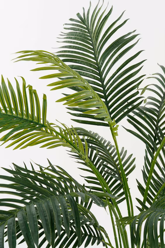 Искусственное растение пальма арека