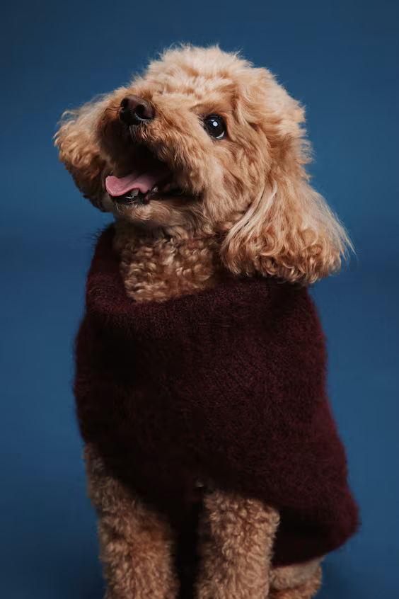 Свитер для собаки из мягкой меховой ткани