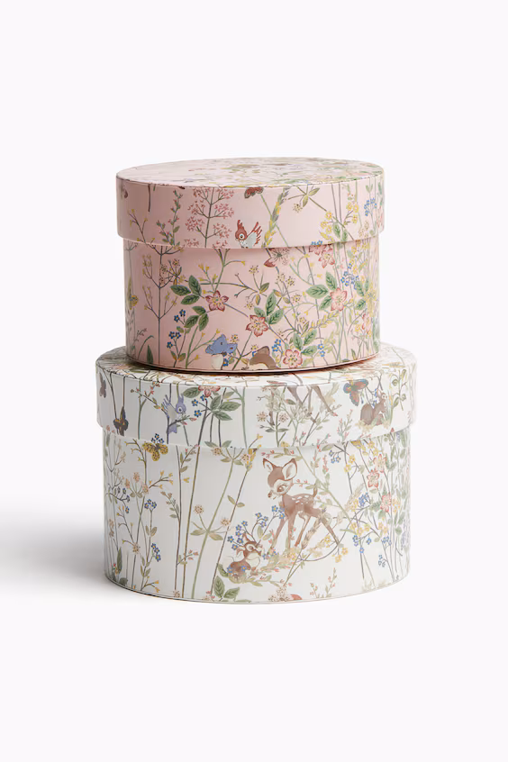 Набор из 2 ящиков для хранения