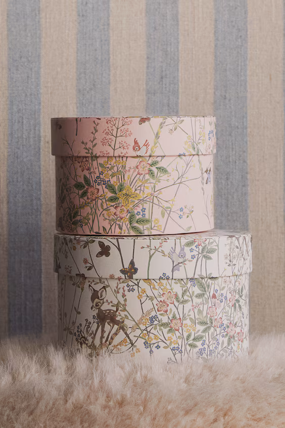 Набор из 2 ящиков для хранения