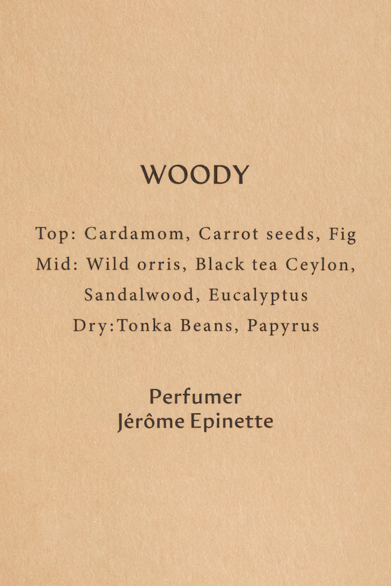 Диффузор аромата с палочками