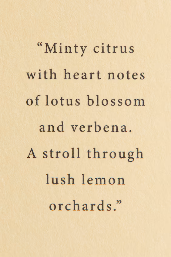 Диффузор аромата с палочками