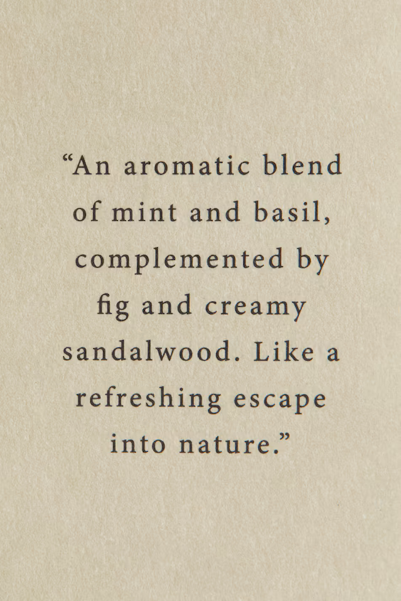 Диффузор аромата с палочками