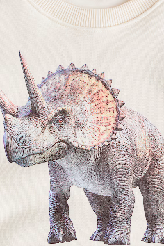 Свитшот с принтом