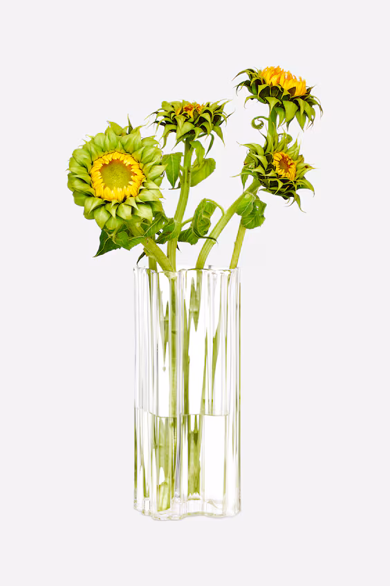 Склянка неправильно формы 25 см