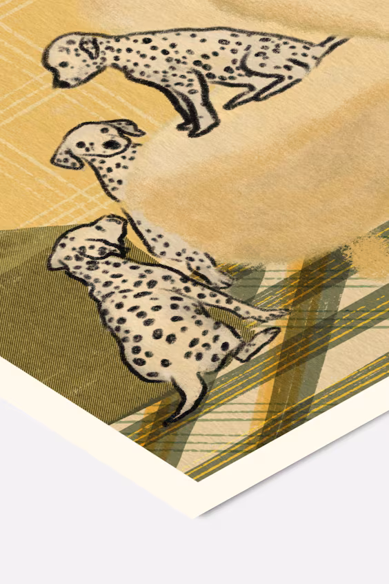 Форм фактори - пятнистое общество 07