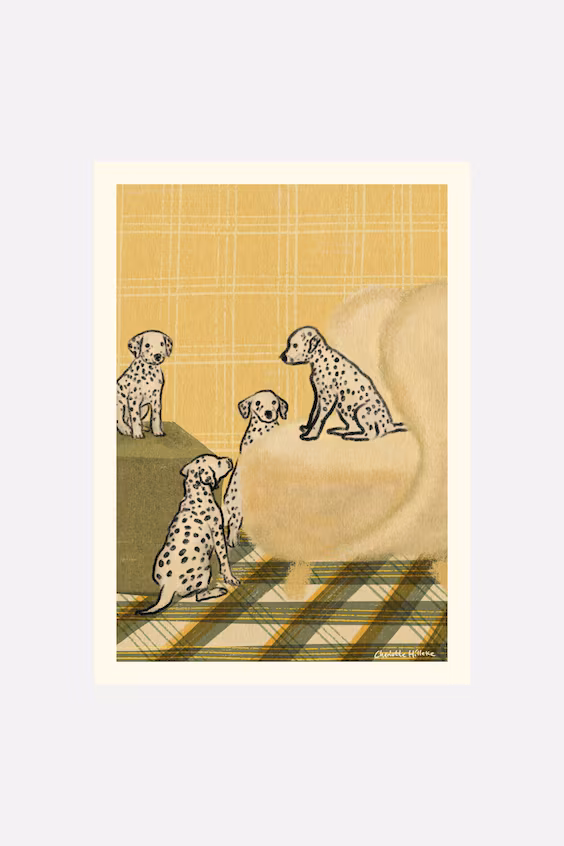 Form faktory - пятнистое общество 07