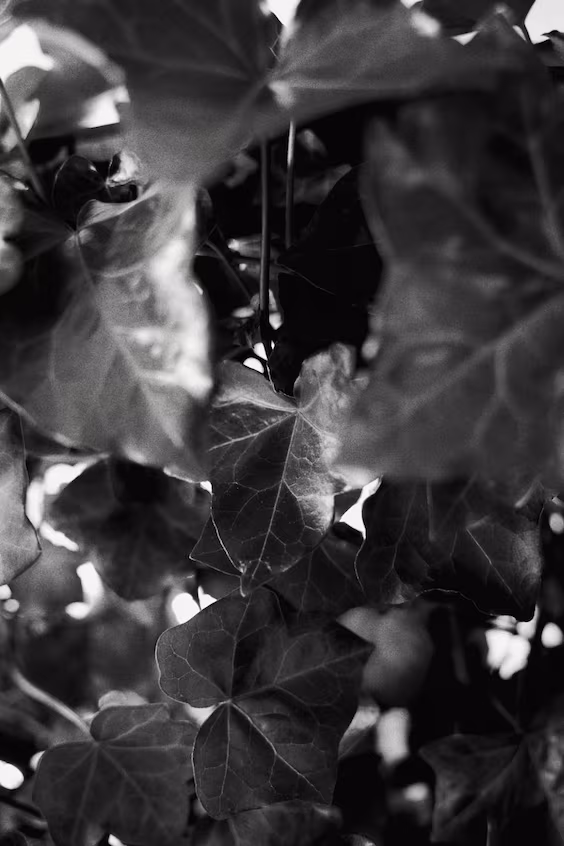 Наволочка для подушки на улицу