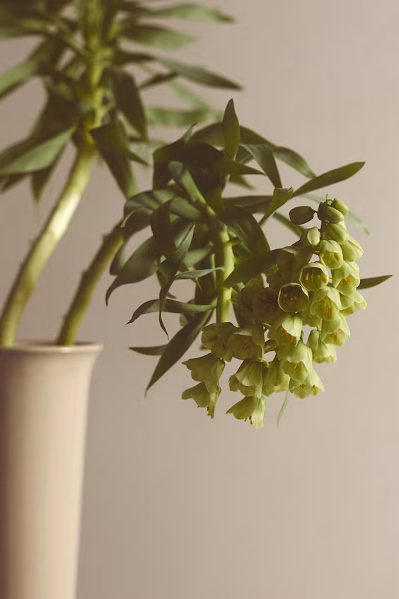 Большой глиняный кувшин с реактивной эмалью