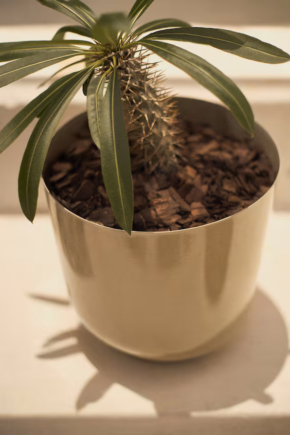 Большой металлический ваза