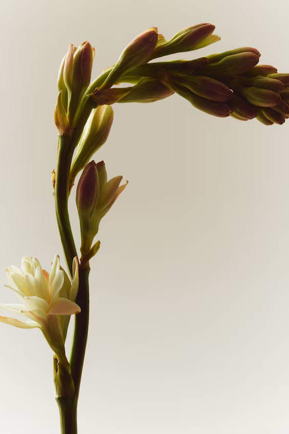 Туалетная вода solar blur h&m