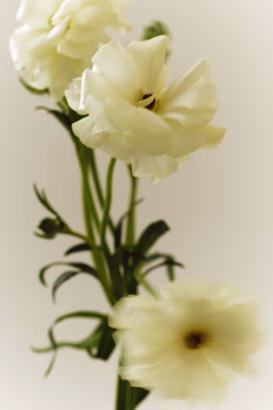 Туалетная вода solar blur h&m