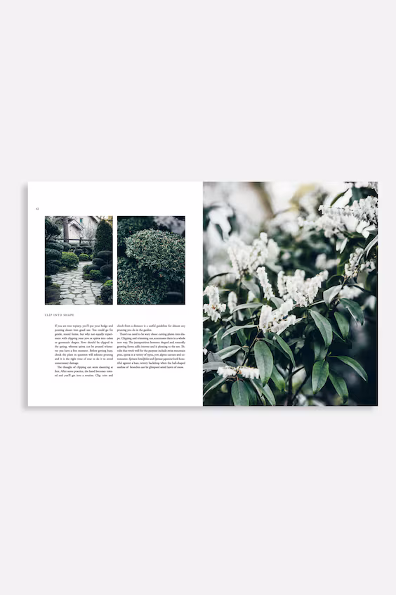 Дизайн nordic garden h&m