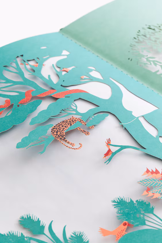 Книга garden jungle