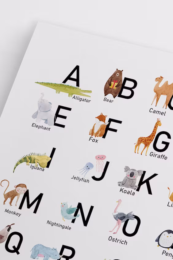 Плакат animal abc