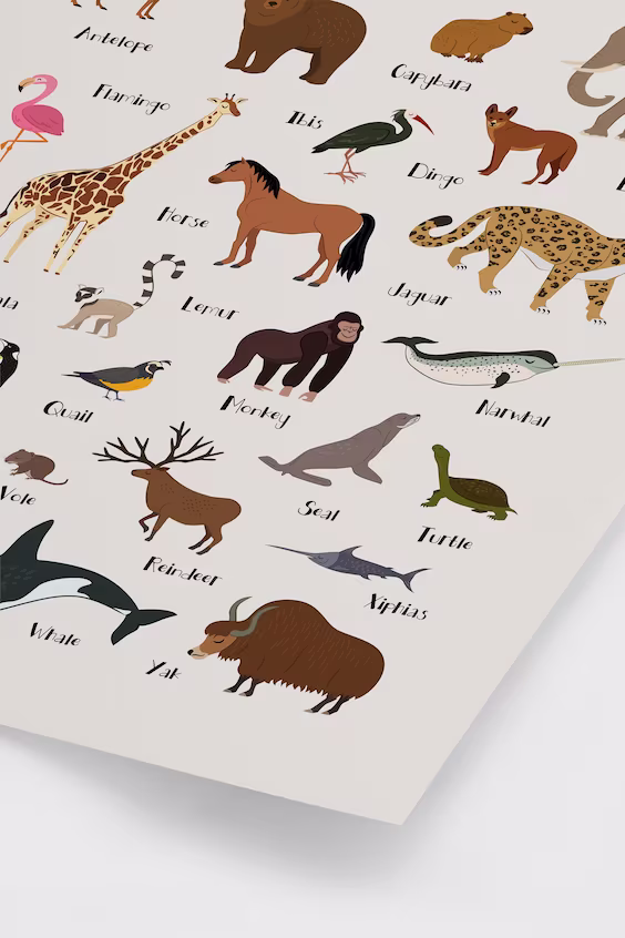 Плакат алфавит животных