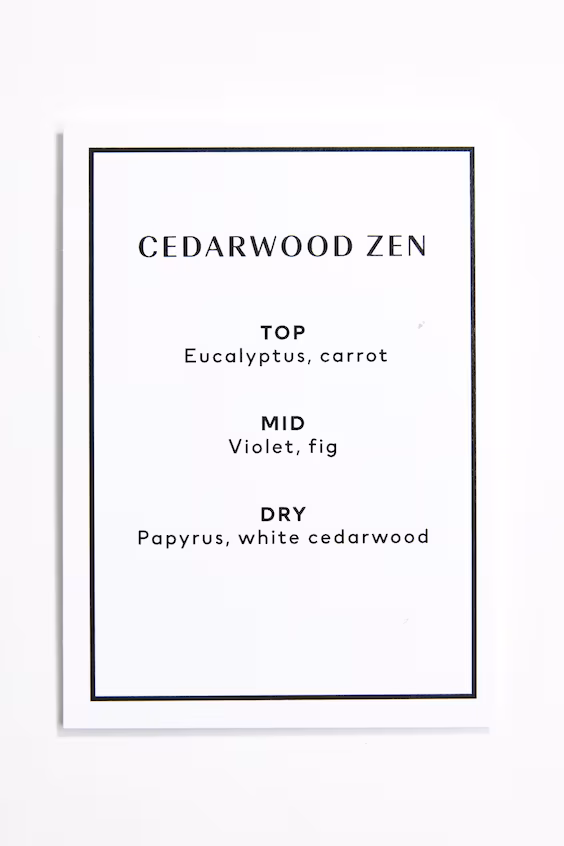 Диффузор аромата с палочками