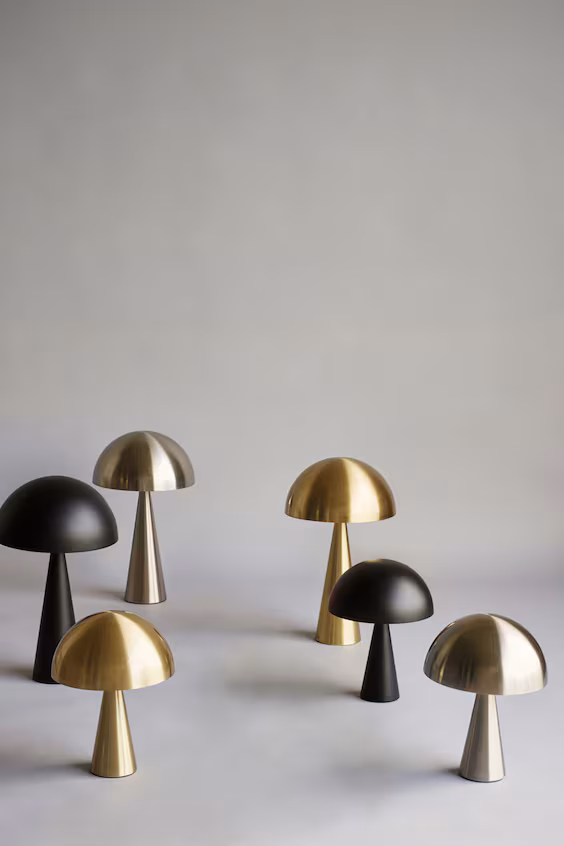 Настольный светильник mush