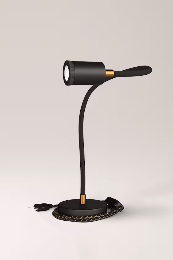 Настольная лампа flex с фокусом