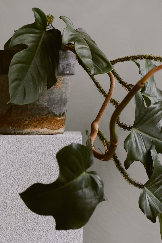 Пьедестал квадратный