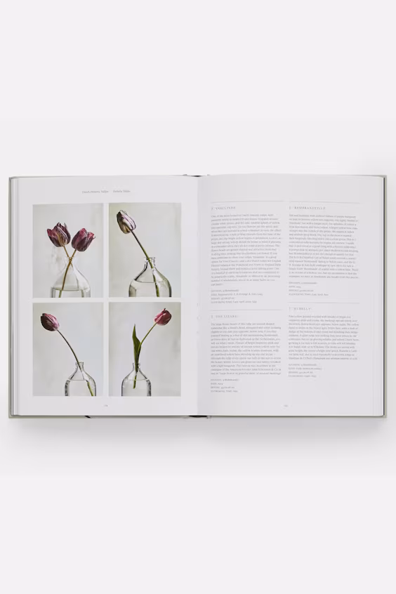 Тюльпановый сад